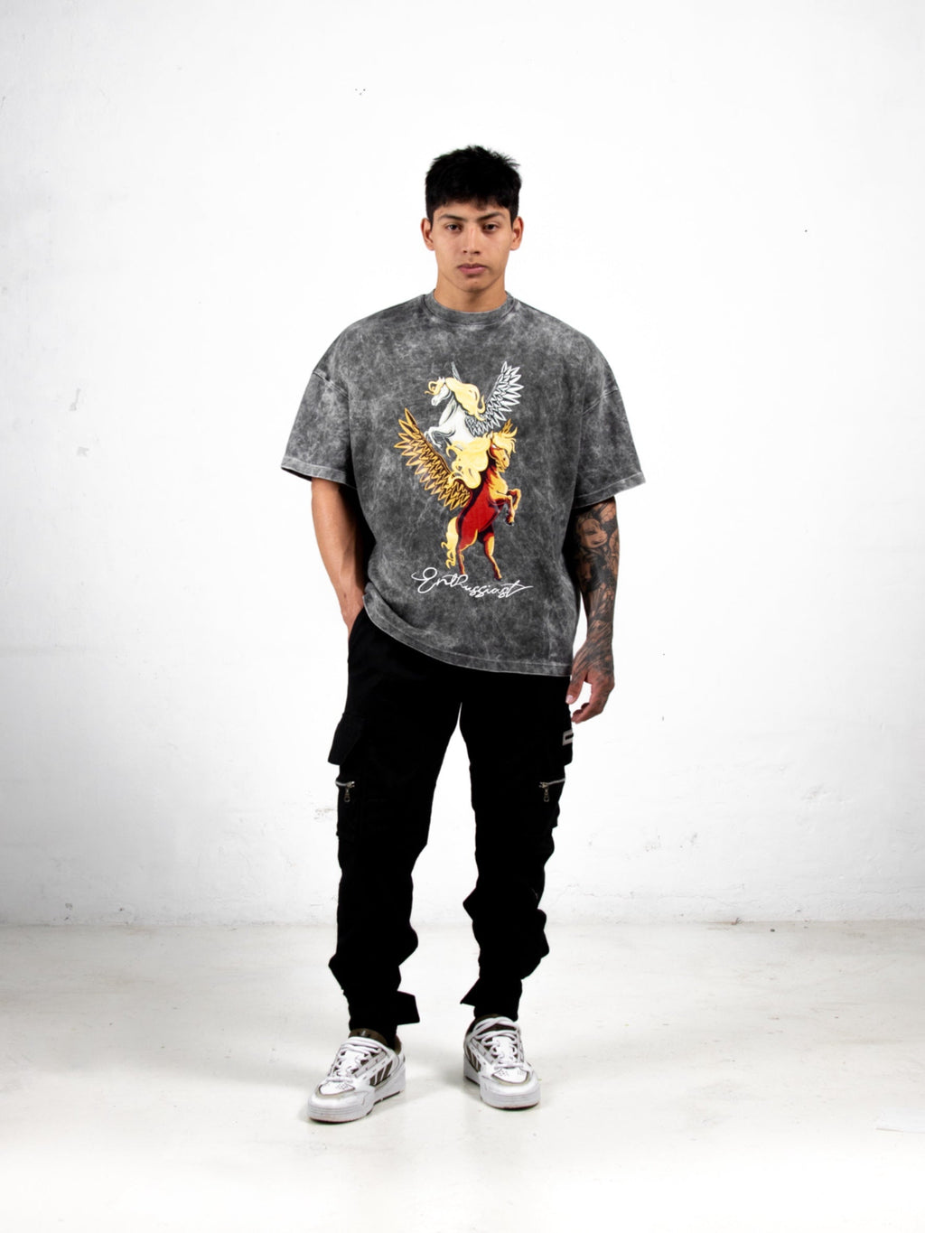 ENTHUSSIAST PEGASUS  VINTAGE GREY T-SHIRT